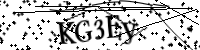 Veuillez saisir les lettres ci-dessous