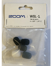 ZOOM WSL-1